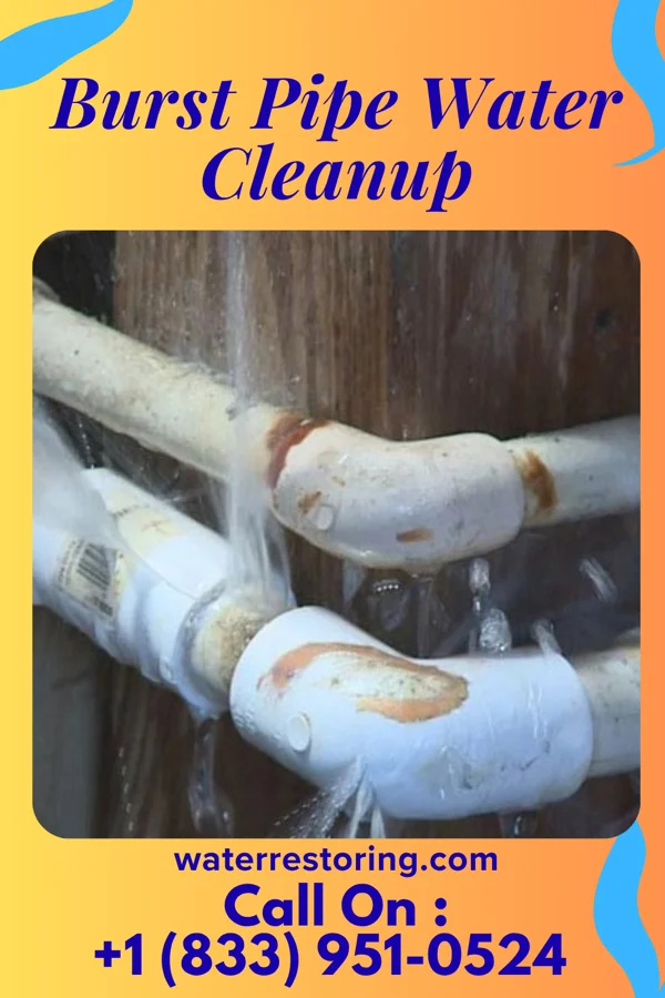 Burst Pipe Water Cleanup in Bainbridge, OH