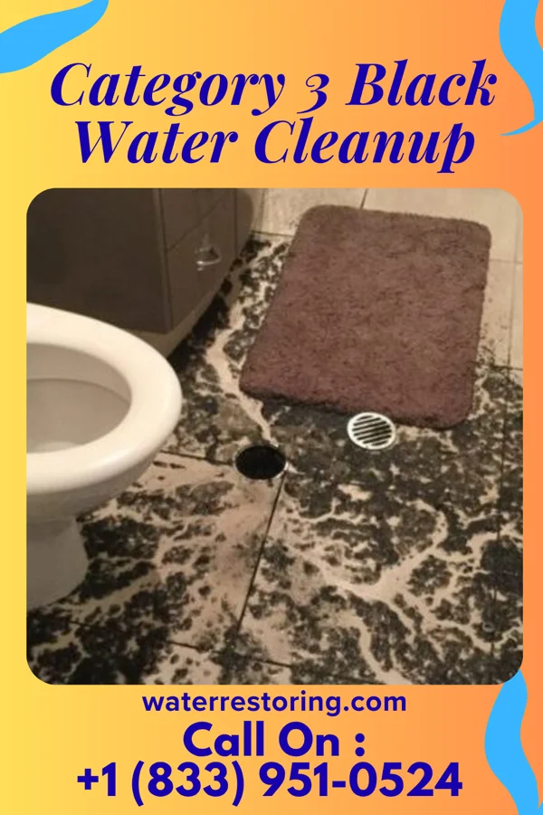 Category 3 Black Water Cleanup in Bainbridge, OH