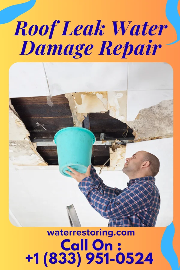 Roof Leak Water Damage Repair in Bainbridge, OH