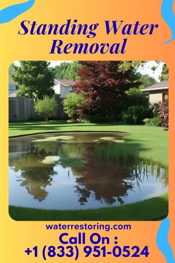 Standing Water Removal in Bainbridge, OH